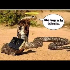 Meet your Posher, Juan